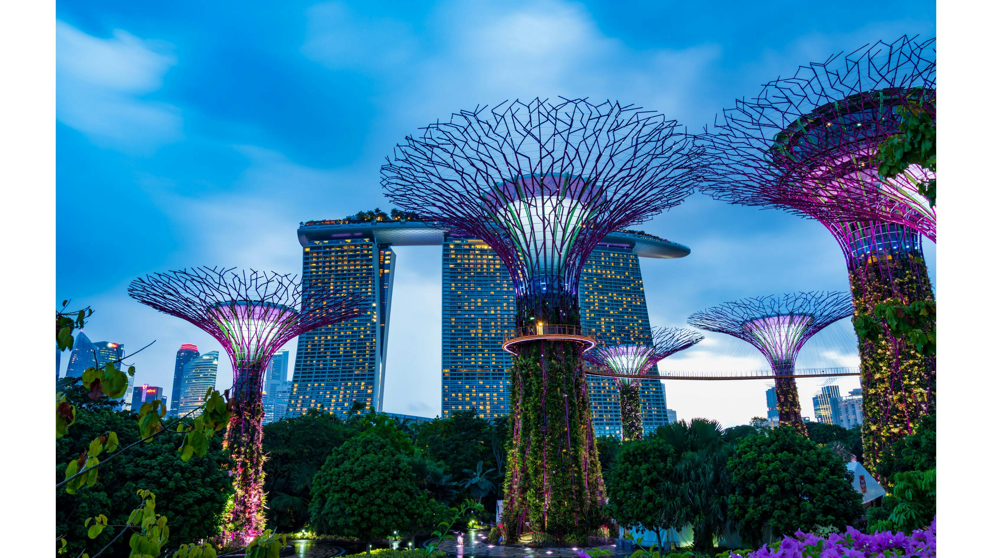 Explore Gardens by the Bay